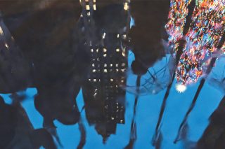new york dentro xmass
